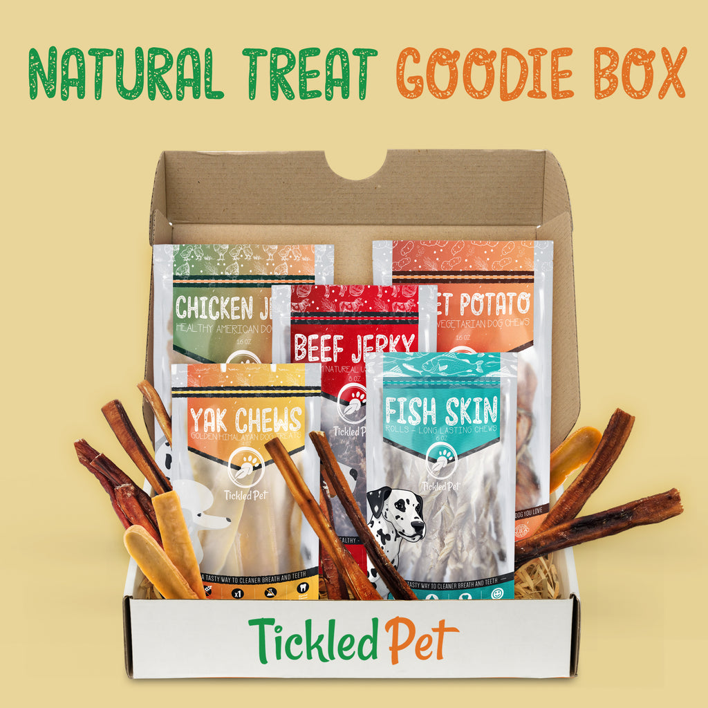 Dog Treat Box Natural Treats Chews Subscription and Gift Box