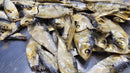 Whole Sardines 2 Pounds  | Dog Treats
