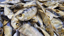 Whole Sardines 2 Pounds  | Dog Treats