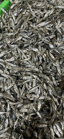 Feline Fins Sardine Cat Treats 2.5 oz