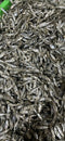 Feline Fins Sardine Cat Treats 2.5 oz