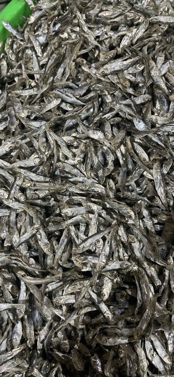 Feline Fins Sardine Cat Treats 2.5 oz
