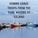 Icelandic Codfish Skin Rolls 12 inch. Bulk Box of 35 - TP44 - TickledPet