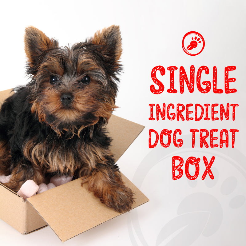 Dog Treat Box - Natural Treats & Chews Subscription and Gift Box