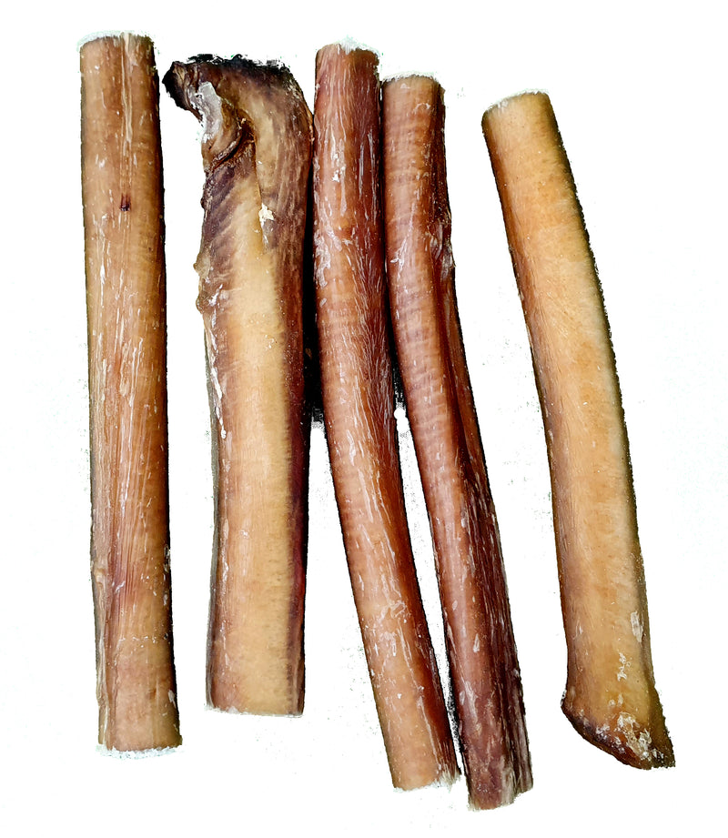 USA Bully Stick Bites – 100% Natural Beef Pizzle Dog Treats 3-5 inch